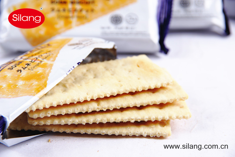 240g Salty Soda Biscuits