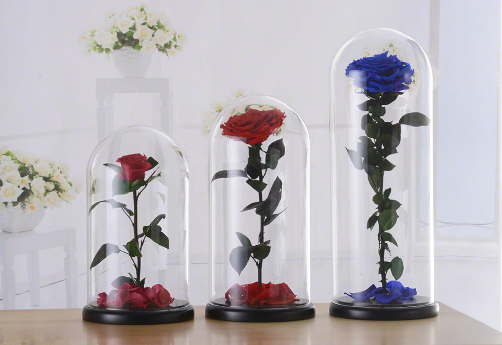 rose-in-glass-dome.jpg