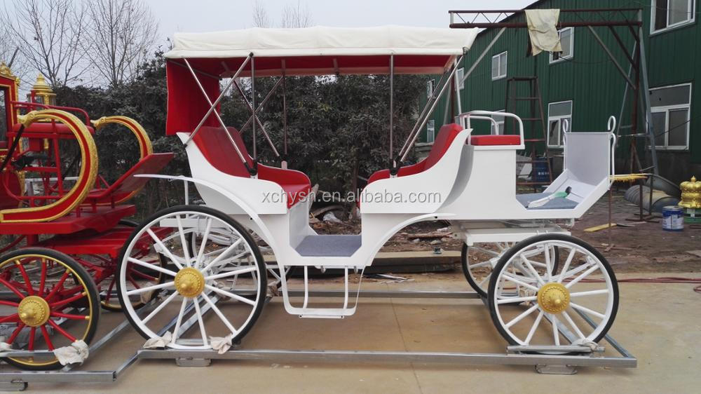 visiting horse carriage.jpg