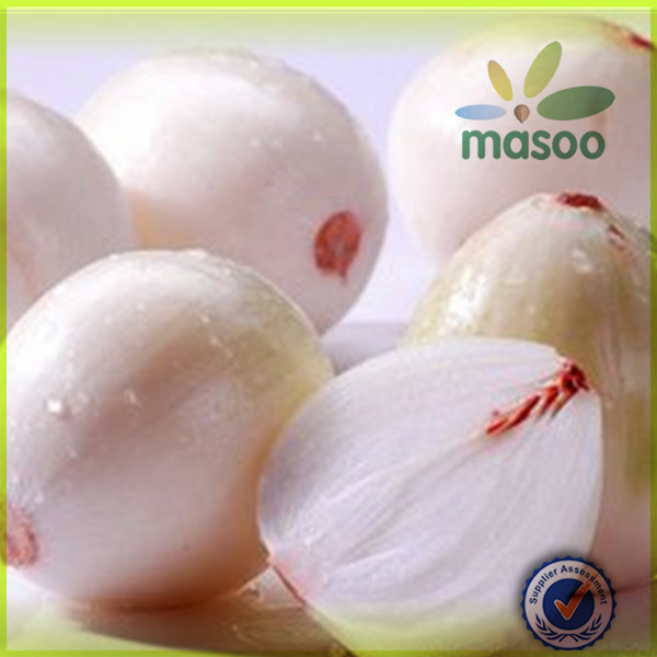wholesale fresh onion /nutrientional china origin 2014 new fresh white onion price