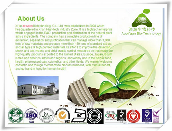 Top Quality Soybean Extract Soy Isoflavone