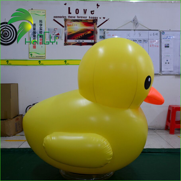 yellow duck (2).jpg