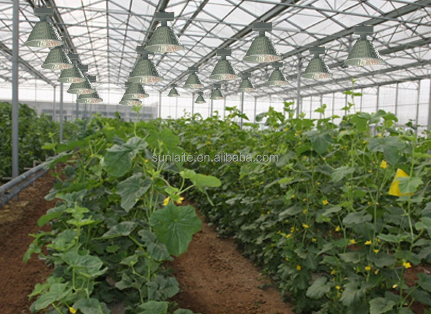 Induction Grow Light High Bay Model.jpg