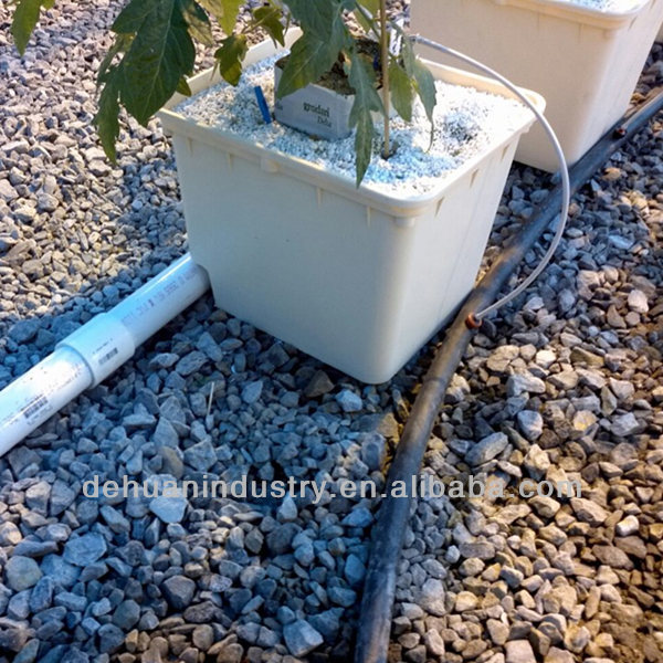 bato bucket hydroponics system