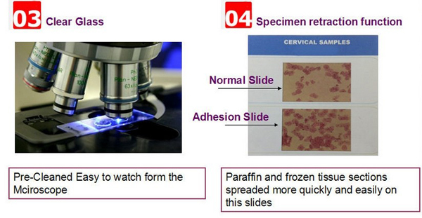 顕微鏡スライドまたはラボ顕微鏡を使用してい7105スライドceと・i so問屋・仕入れ・卸・卸売り
