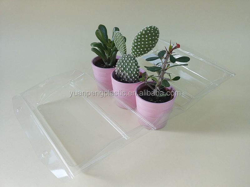 透明なプラスチックの植物blistrパック、 透明なクラムシェルブリスターパック植物、 カスタム植物植木鉢用のブリスター包装ボックス仕入れ・メーカー・工場