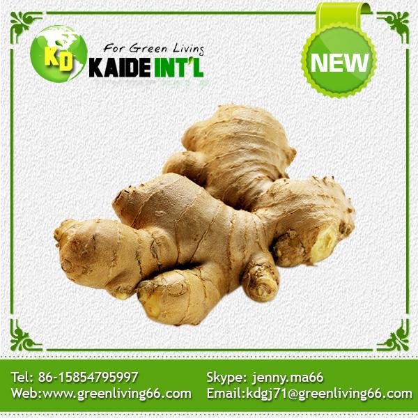 Fresh Ginger--Global Gap Certified