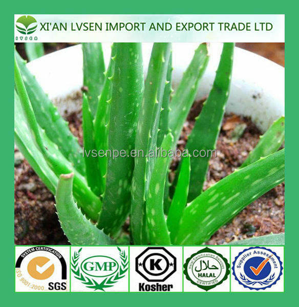 Anti-bactericidal and anti-inflammatory function Aloe Vaera Extract
