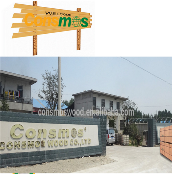 CONSMOS Plywood factory