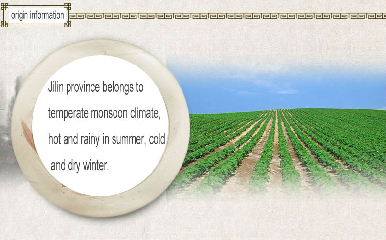 Dry high quality bulk green mung bean with a good price (Skype: live:wangqiudantt)
