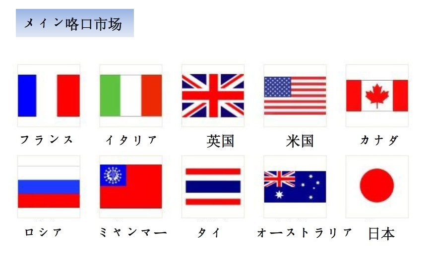 丸い圧克力マッサージに浸かった問屋・仕入れ・卸・卸売り
