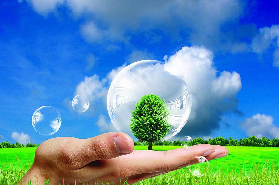 Essay On Environmental Protection