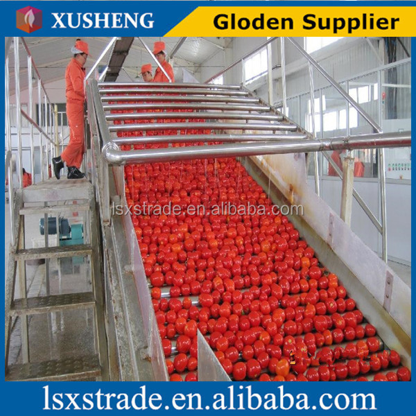 tomato paste factory with competitive price (B)