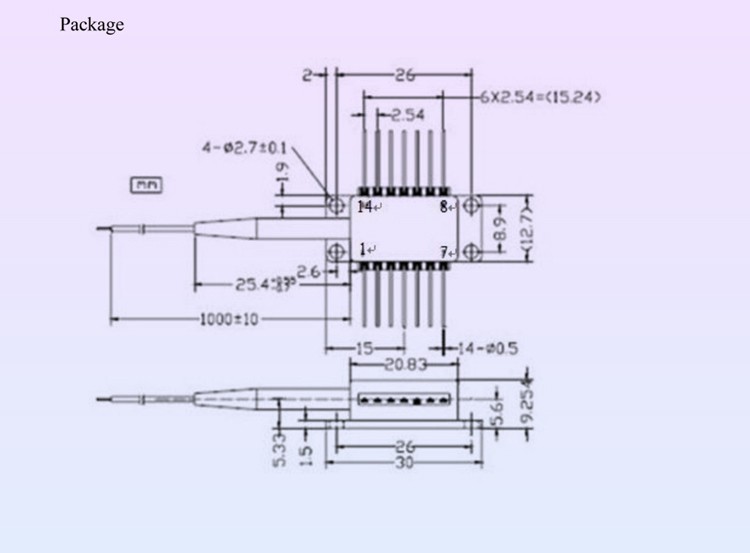 13(2)_06.jpg
