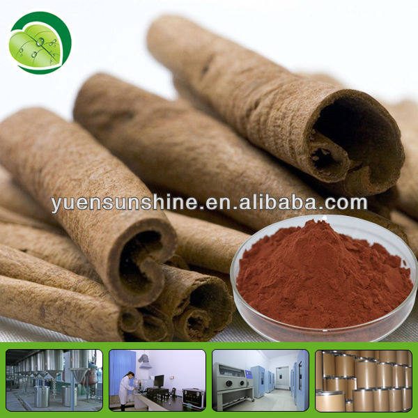 cinnamon polyphenol chinese herbal plant extract ceylon cinnamon powder