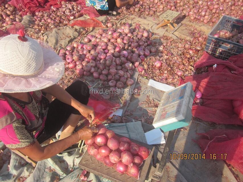 2014 new crop red onion
