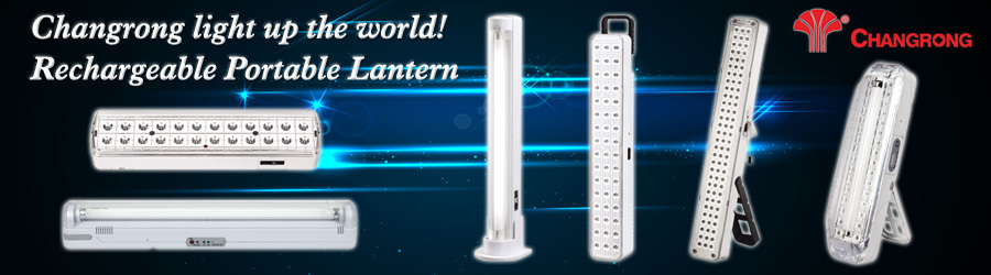 WALL-MOULTED LANTERN.jpg