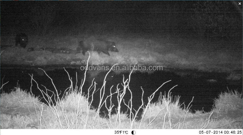 トレイルカメラメイジ12.036のledピクセルの狩猟カメラ野生動物カメラ問屋・仕入れ・卸・卸売り