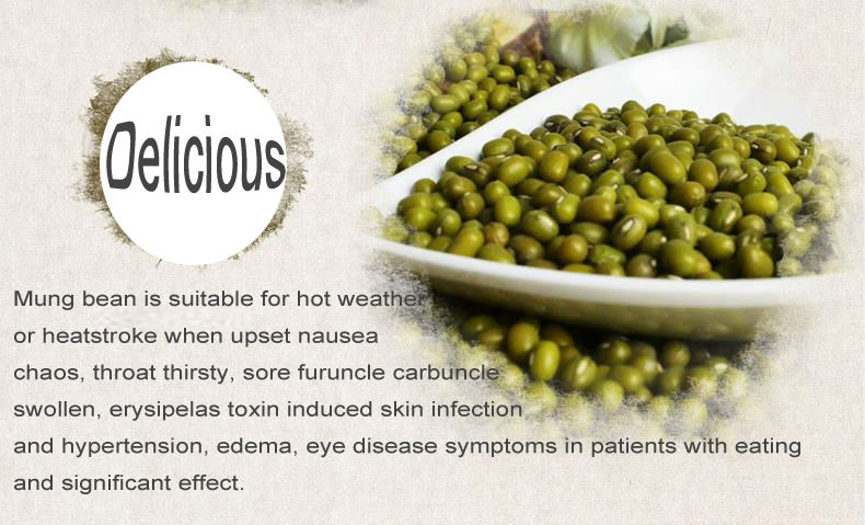 Dry high quality bulk myanmar green mung bean with a good price