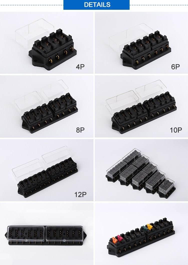 4P 6P 8P 10P 12P.jpg