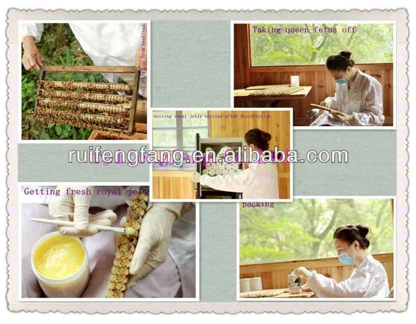 The high extract royal jelly factory lyophilizer price with best quality