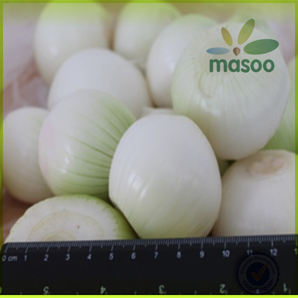 nutrientional china origin 2014 new fresh white onion