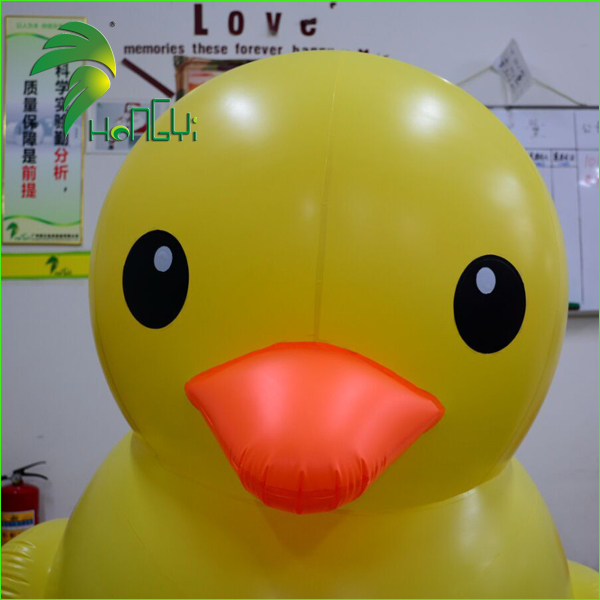 yellow duck (4).jpg