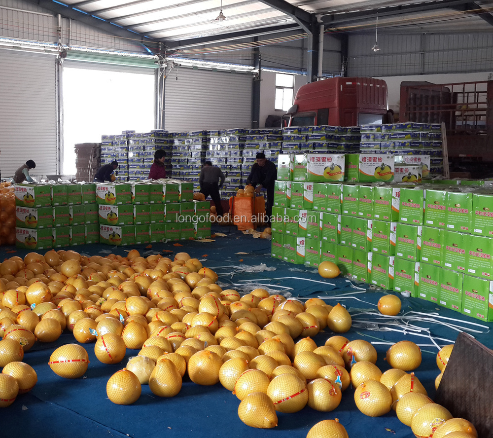 2014 fresh honey pomelo