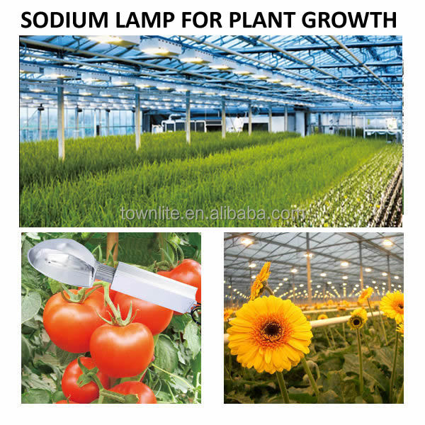 千ワットのhpsはライトキット植物育成用、 千ワットランプを成長仕入れ・メーカー・工場
