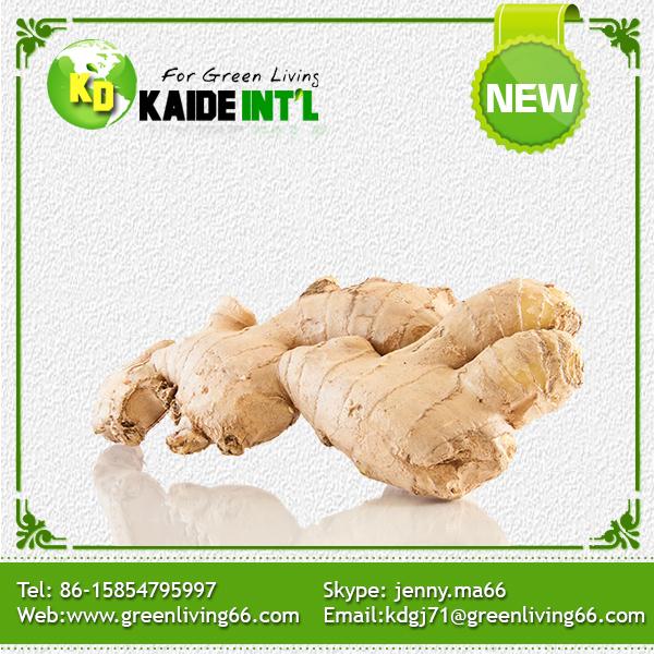 Fresh Ginger Packed In Pvc Box Carton