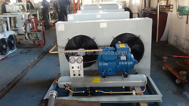 Semi-hermetic Mini Frascold Compressor Unit - Buy Frascold Compressor