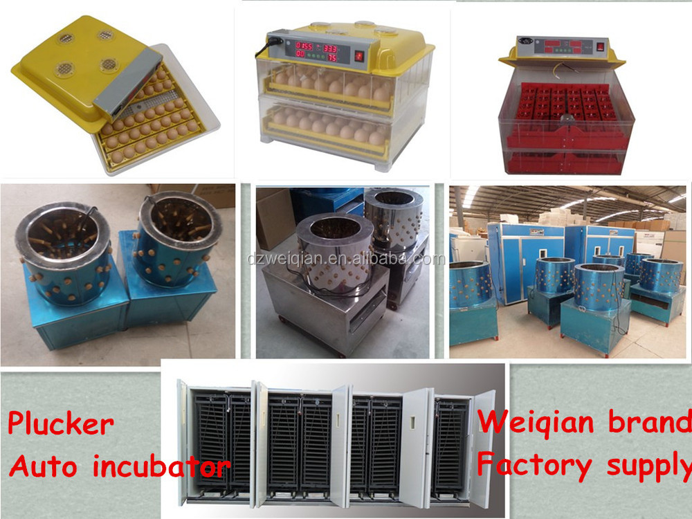  chicken eggs industrial incubators for chickens/big size incubator/ in