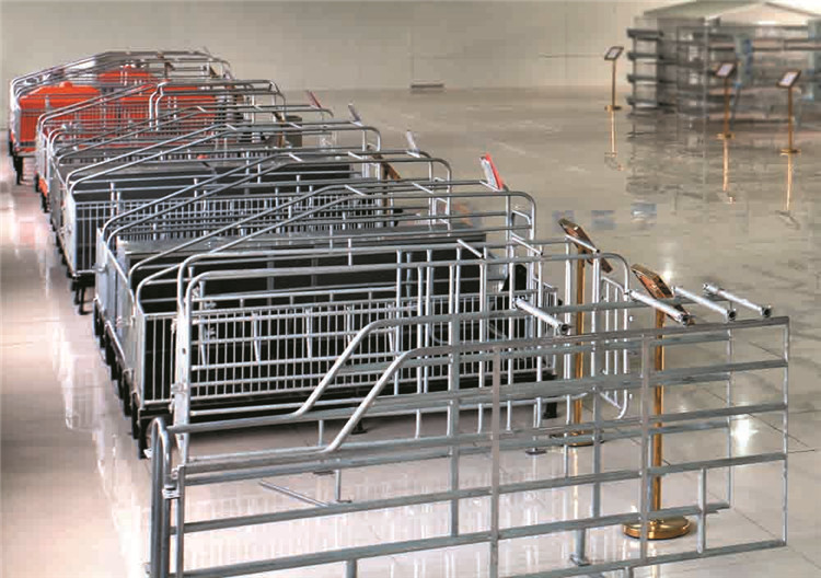 automatic-pig-raising-equipment.jpg