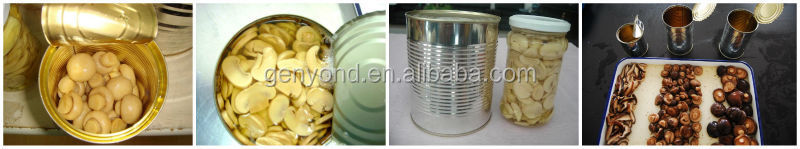 Fully automatic canned mushroom processing plant/ canned vegetables production line
