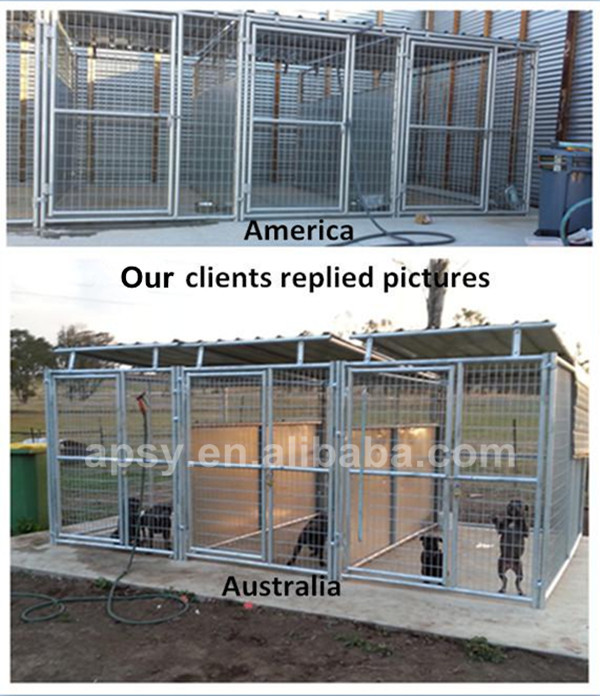 Large Galvanized And Welded Dog Kennel Building With Fight Guard