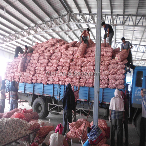 2014 natural garlic price wholesale garlic
