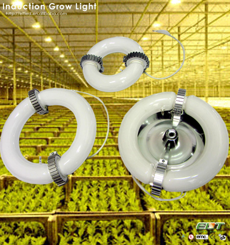 最新のデザイン2014年200w400w誘導ce証明書ledはライトを育てる問屋・仕入れ・卸・卸売り