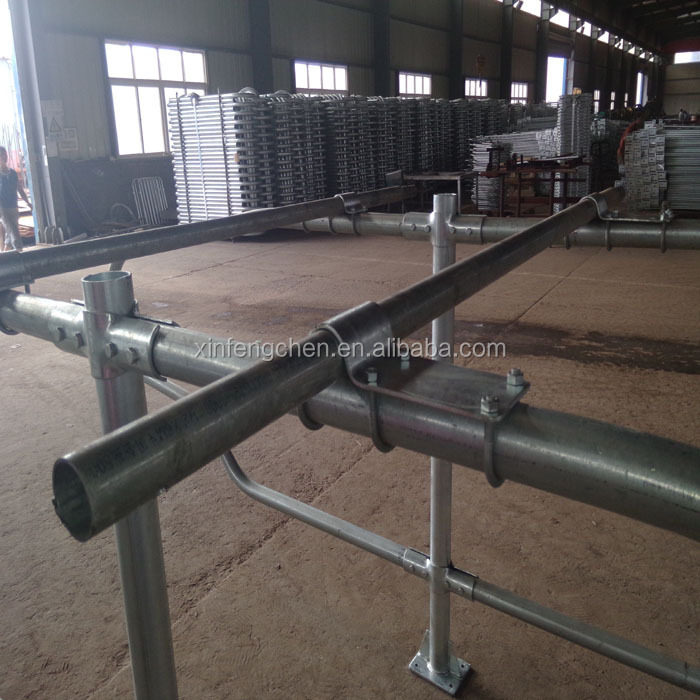 cow free stall-4