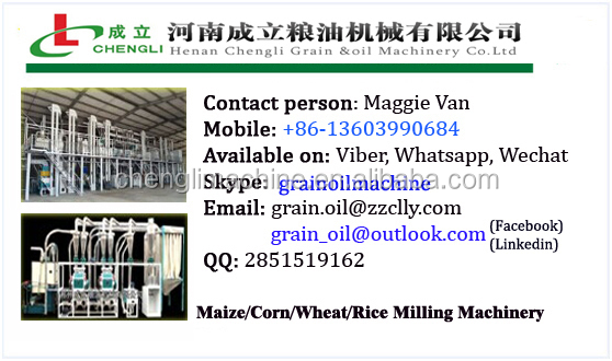 contact information maggie.jpg