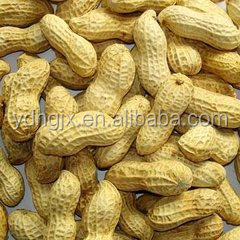 peanuts baking machine/ beans roaster