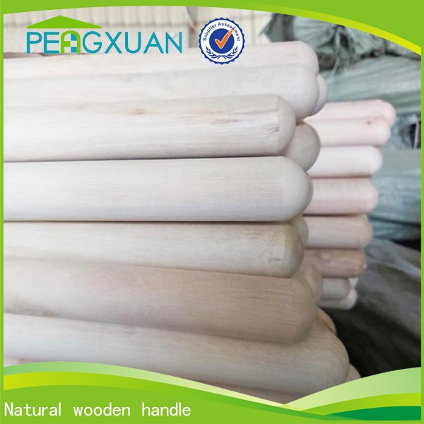 long broom handle.JPG