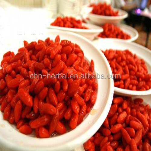Herbal Capsules for Plant Extract and Ningxia Goji Berry