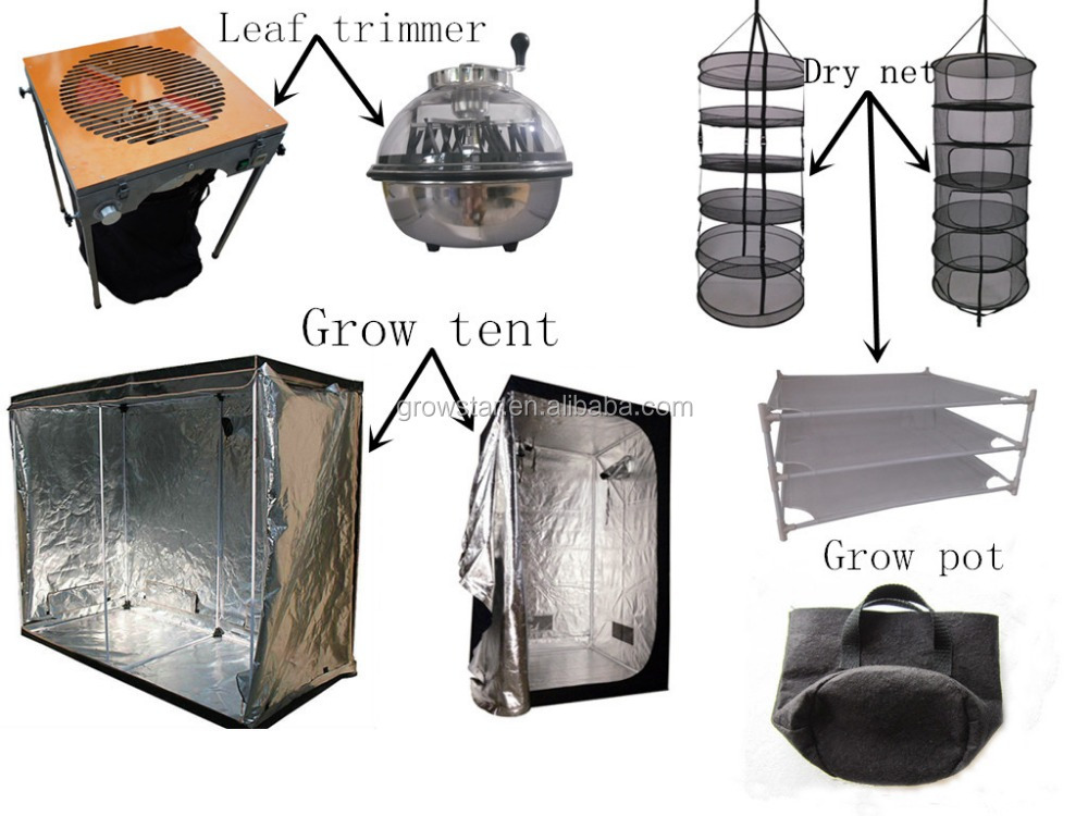 grow tent dry net leaf trimmer and grow bag.jpg