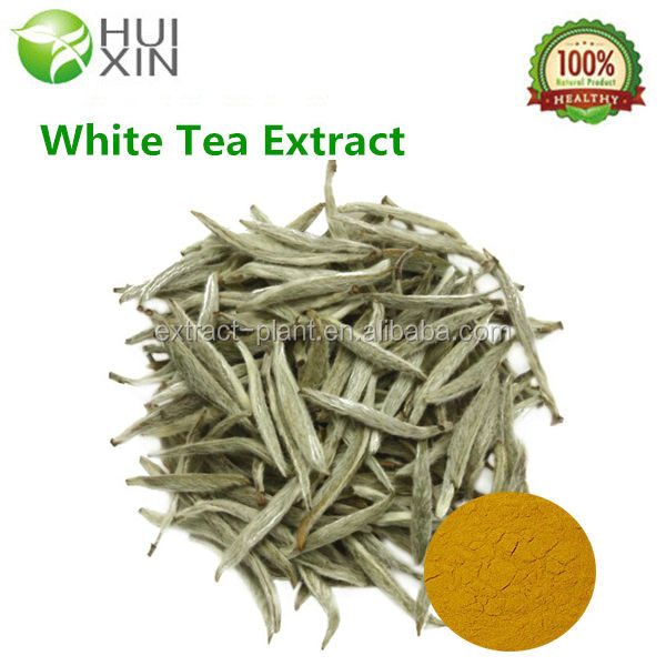 Samples Free White Tea Extract Tea Polyphenols 30%