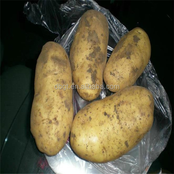 organic fresh sweet potato/purple sweet potato with reasonable price