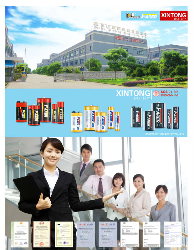 Super Duty Alkaline Battery (LR03 Battery)