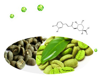 40% Tea Polyphenols for healthy or drinking black tea extract powder
