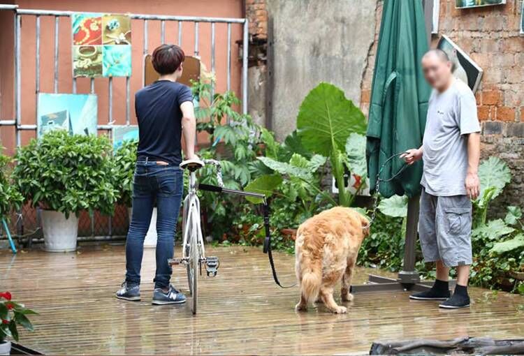 犬用首輪b-02-1バイクエクササイザ、 ドッグランナー自転車、 ペットリボン犬の首輪用訓練綱仕入れ・メーカー・工場