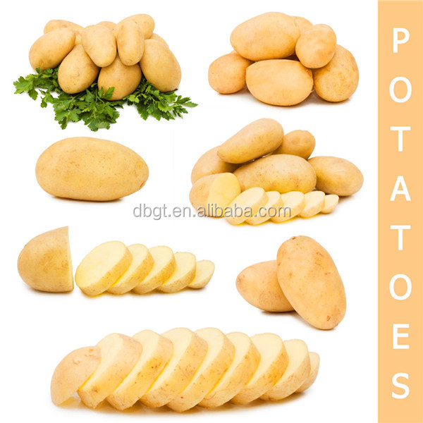 instant mashed potatoes