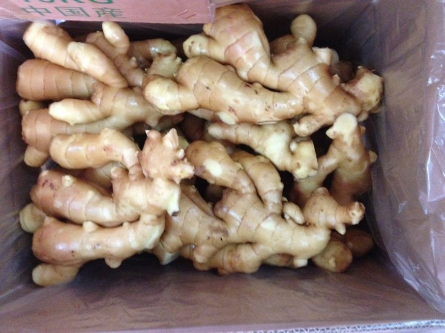20kg Mesh Bag Package Air Dry Ginger